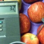 Fruits & Vegetable Inspection