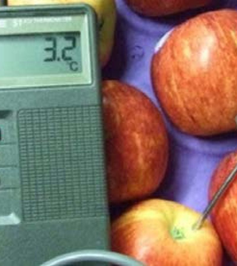 Fruits & Vegetable Inspection